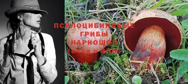 Альфа ПВП Арсеньев