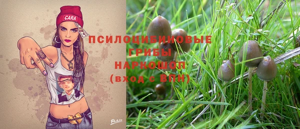 дживик Аркадак